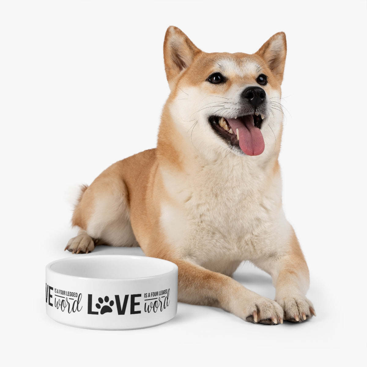 Pet Bowl