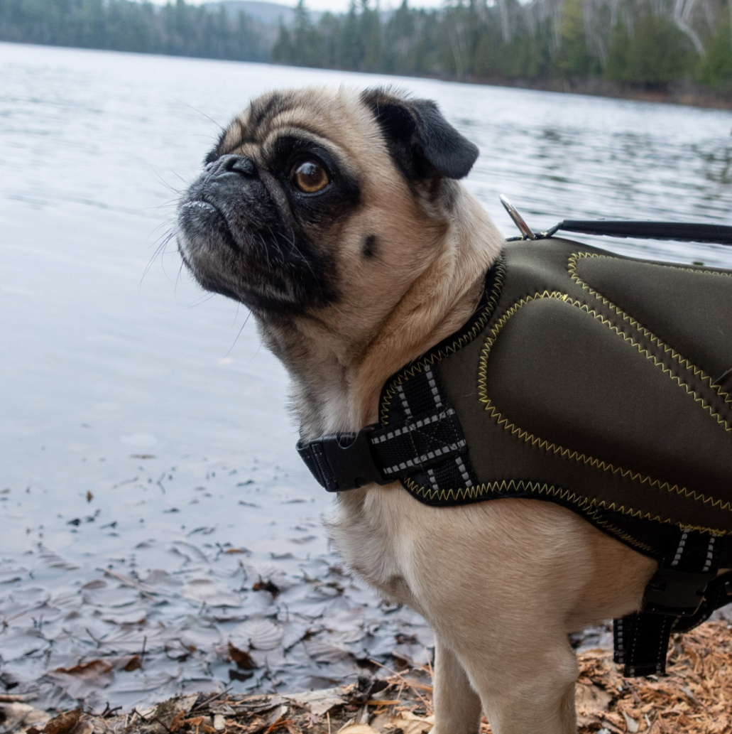 Neoprene Dog Life Jacket (Khaki)