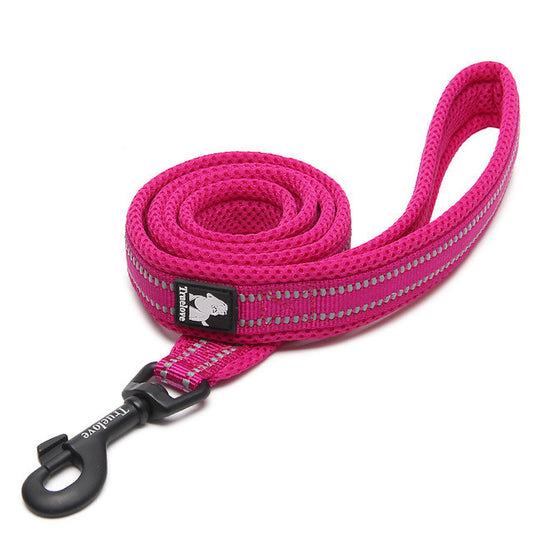 Leash