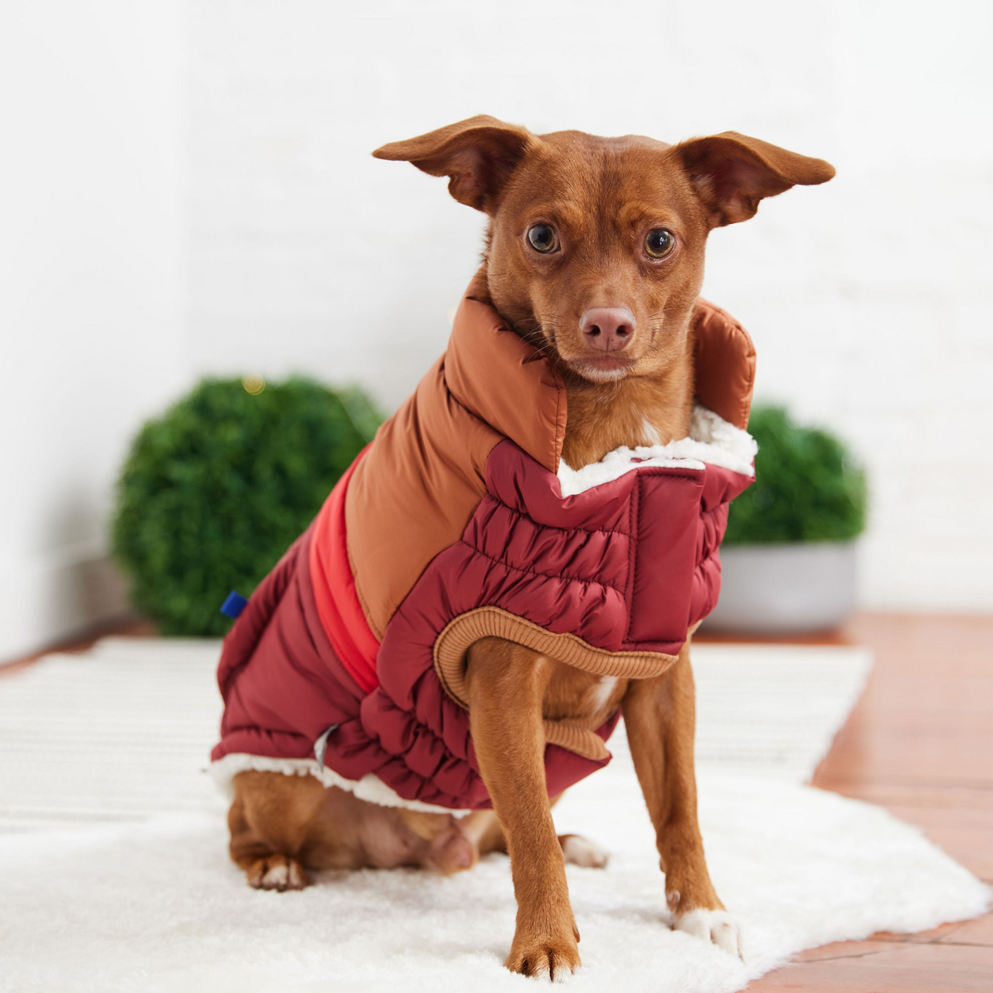 Retro Puffer (Dark Red)