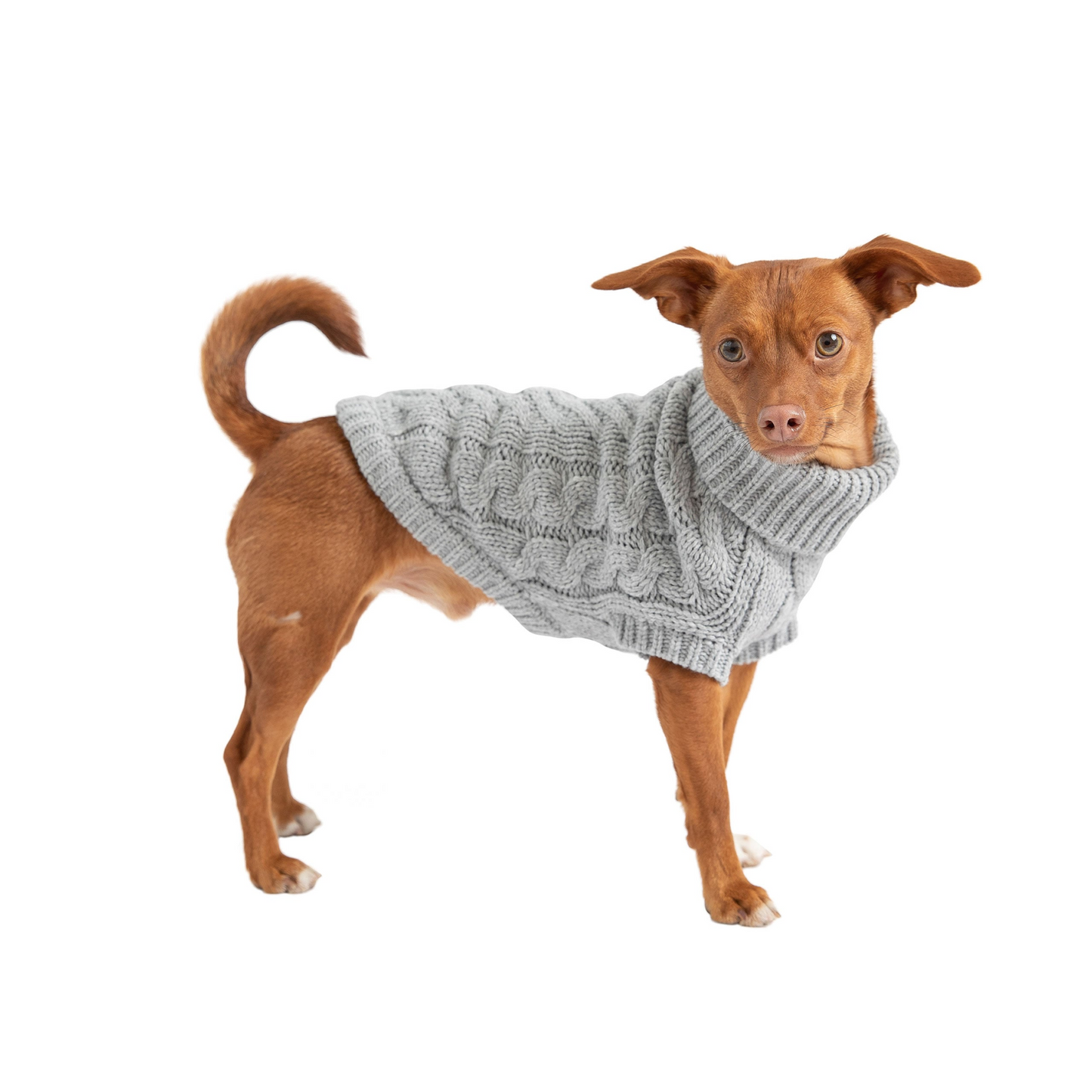 Chalet Dog Sweater (Grey)