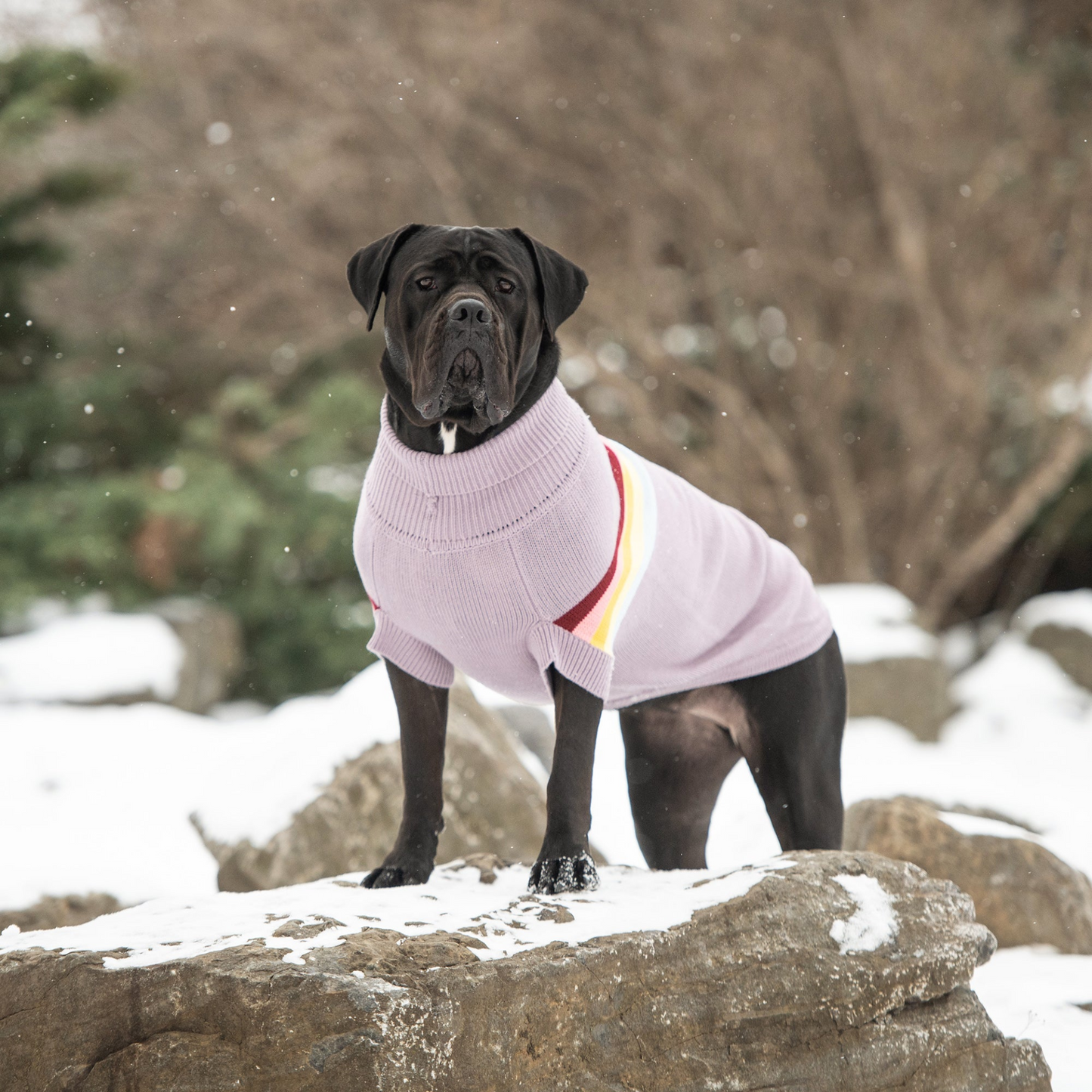 Retro Pet Sweater (Lavender)