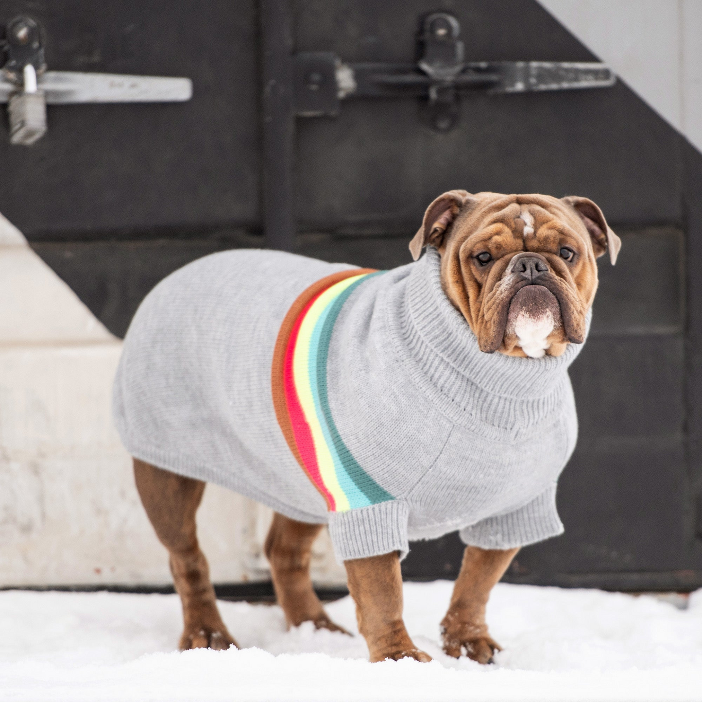 Retro Pet Sweater (Grey Mix)