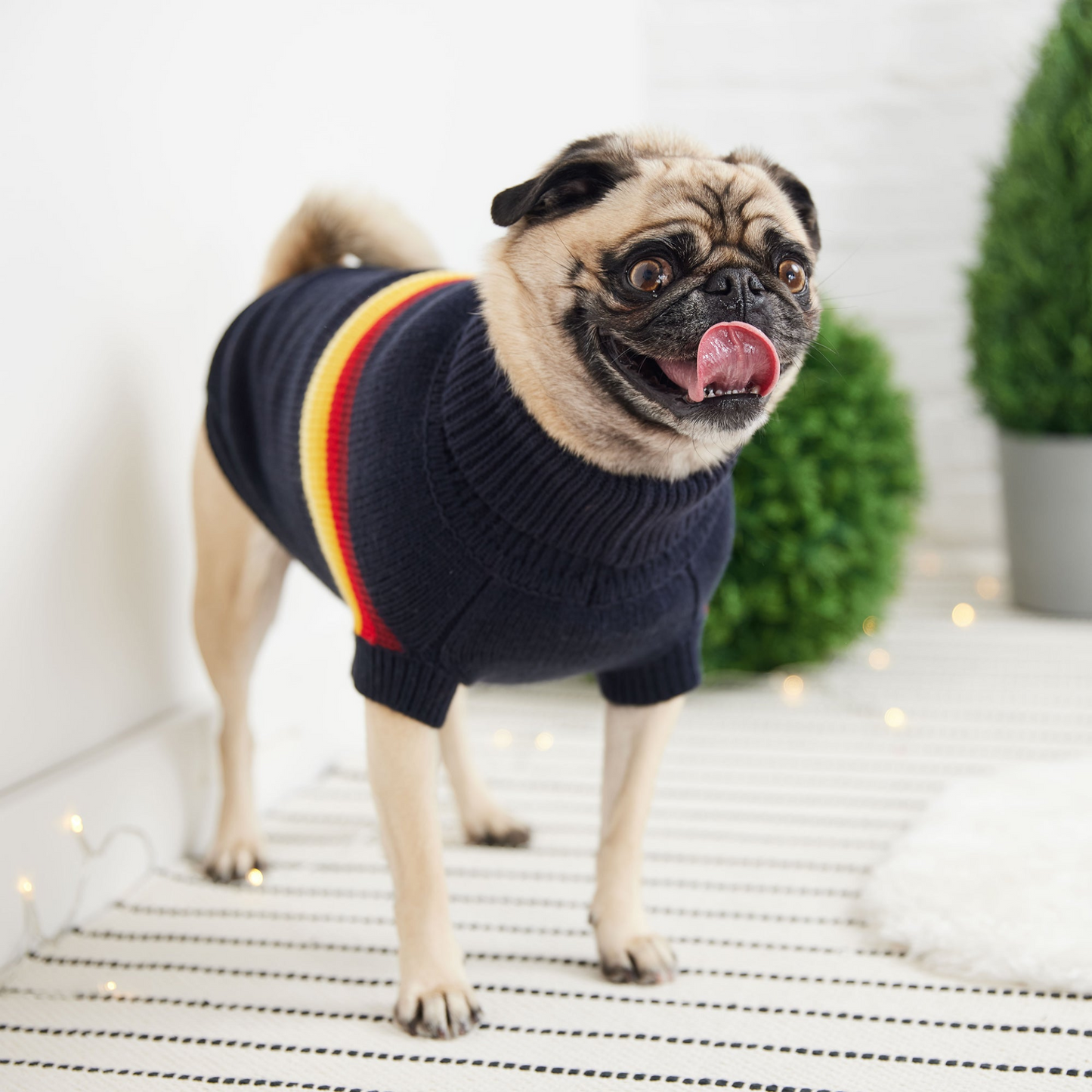 Retro Pet Sweater (Navy)