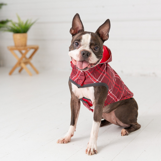 Reversible Elasto-Fit Raincoat (Red)