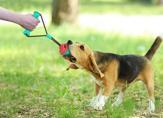 Pet Pull Toy Training Ball
