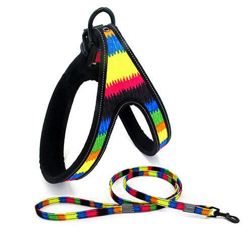 Dog Harness