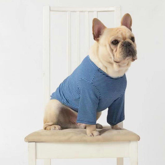 Pet Shirt