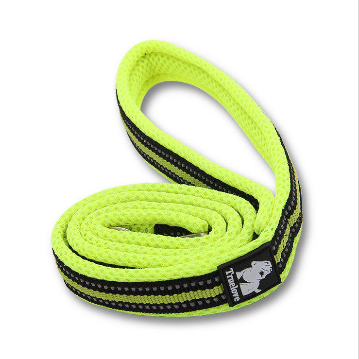 Leash