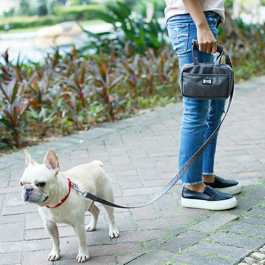 Pet Bag