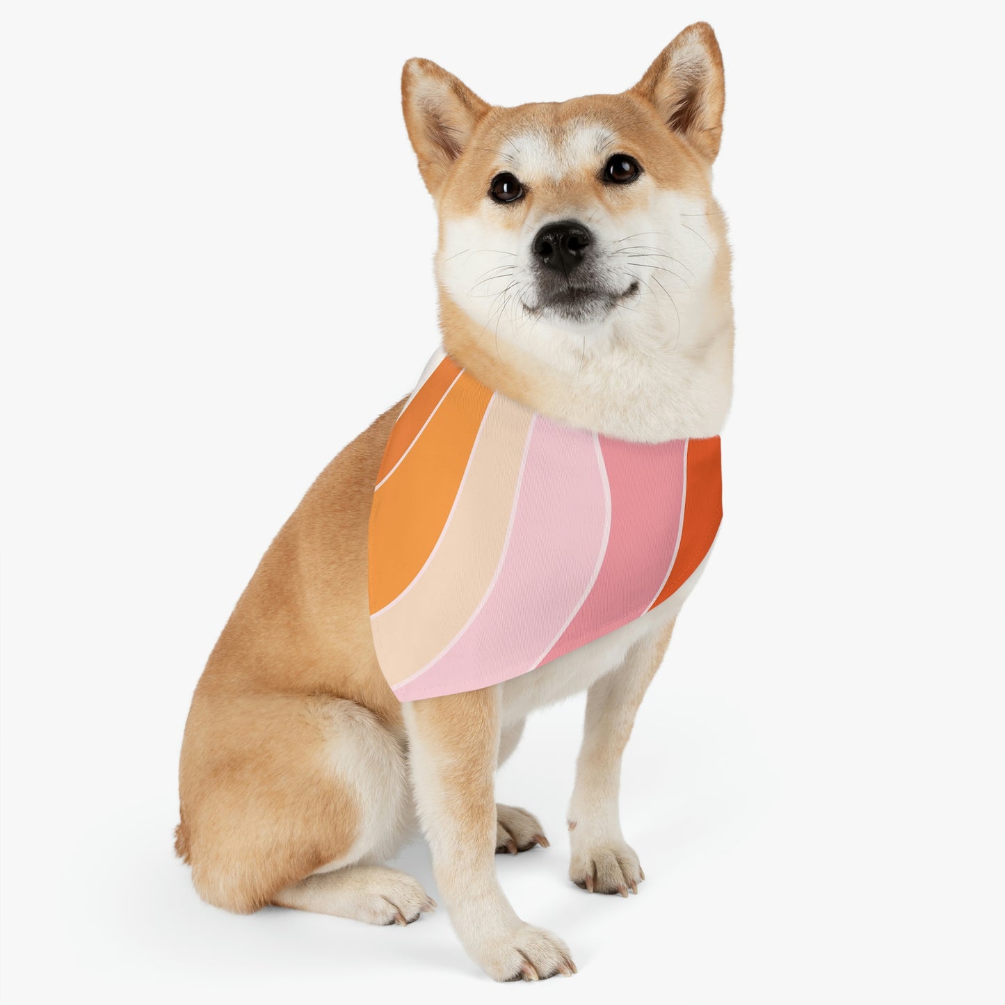 Pet Bandana Collar