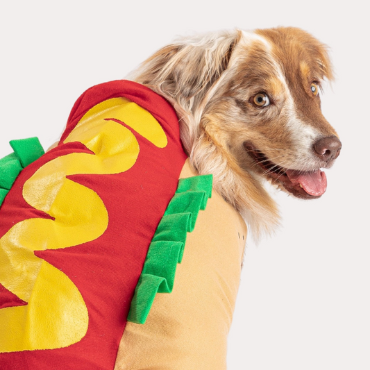 Hot Dog Costume