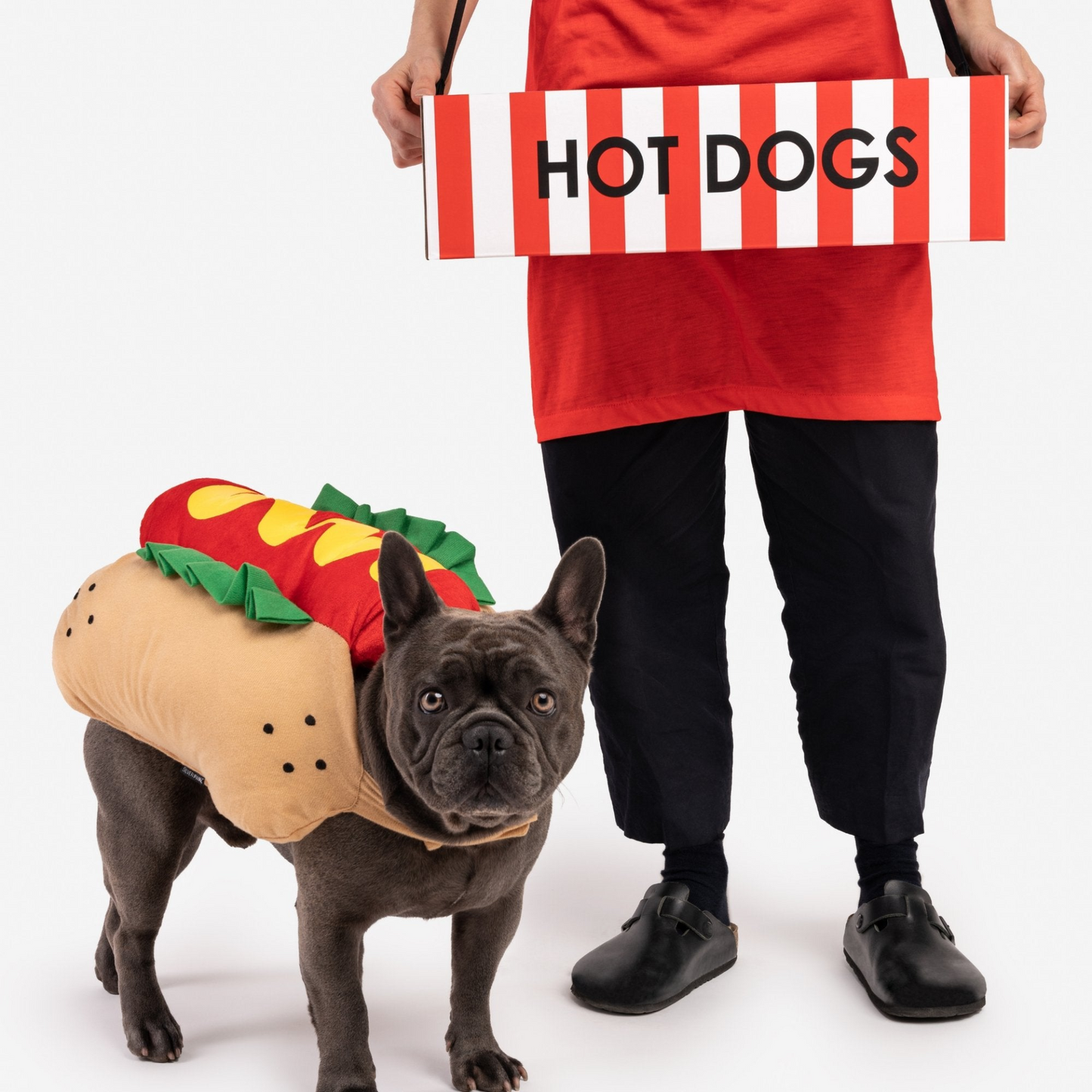 Hot Dog Vendor (Matching Human Costume)