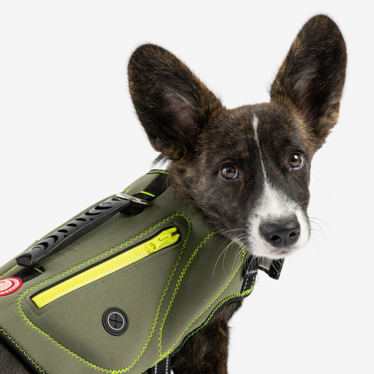 Neoprene Dog Life Jacket (Khaki)