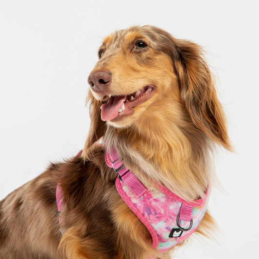Poplin Dog Harness (Pink Tie Dye)