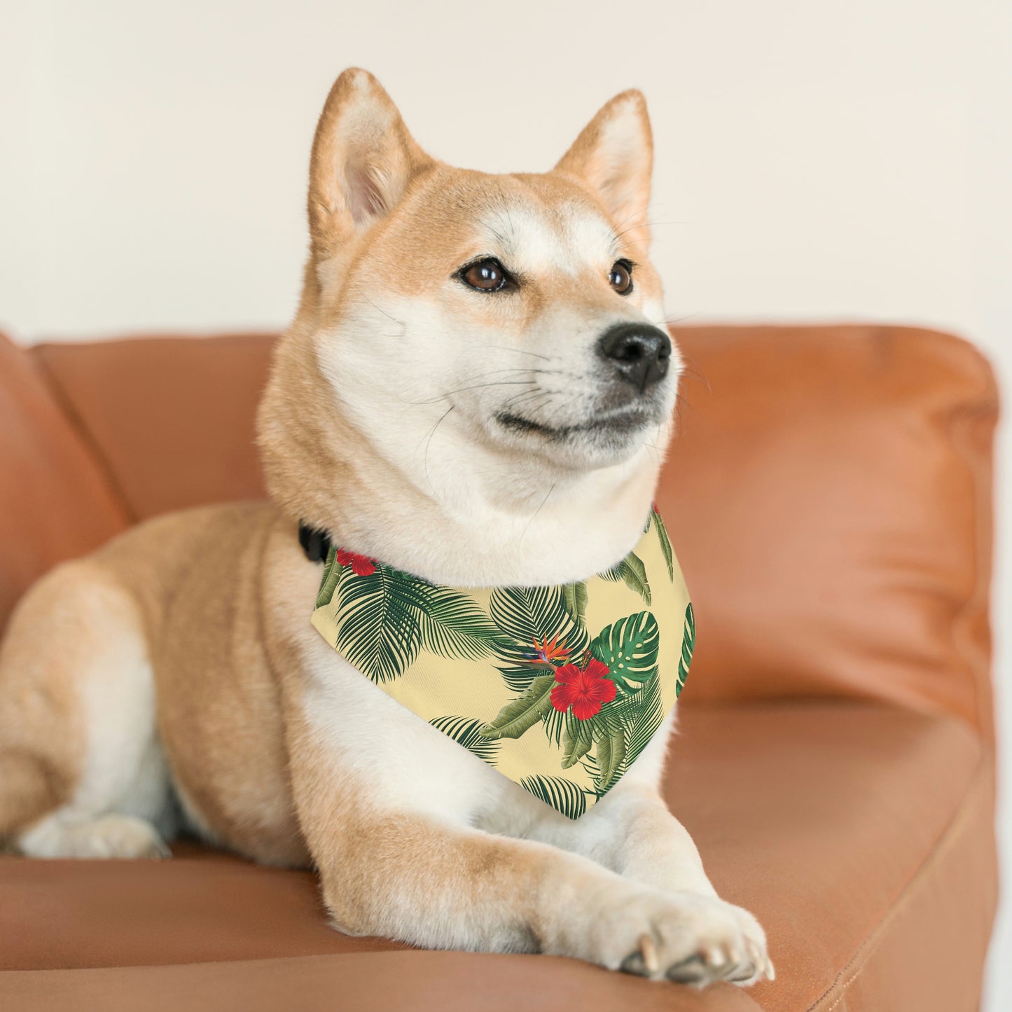 Pet Bandana Collar