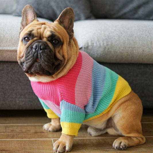 Pet Sweater