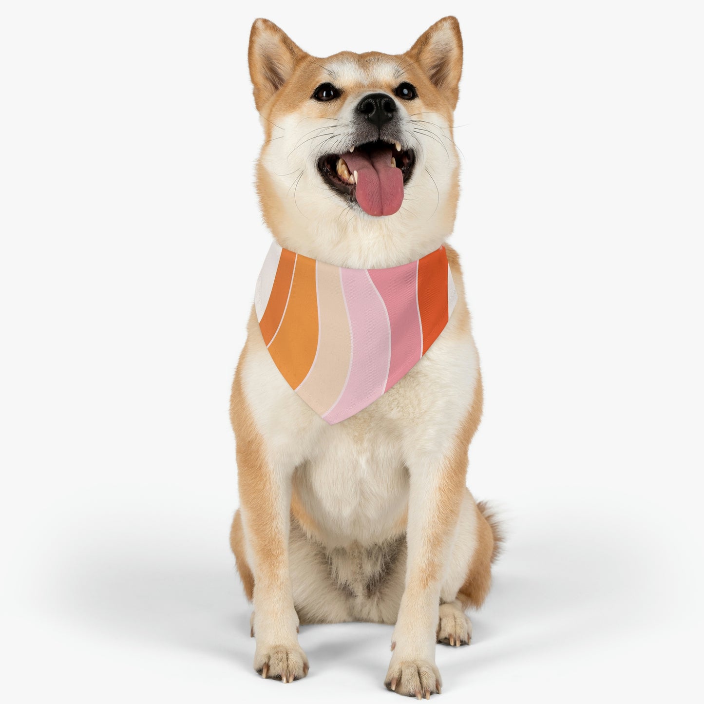 Pet Bandana Collar