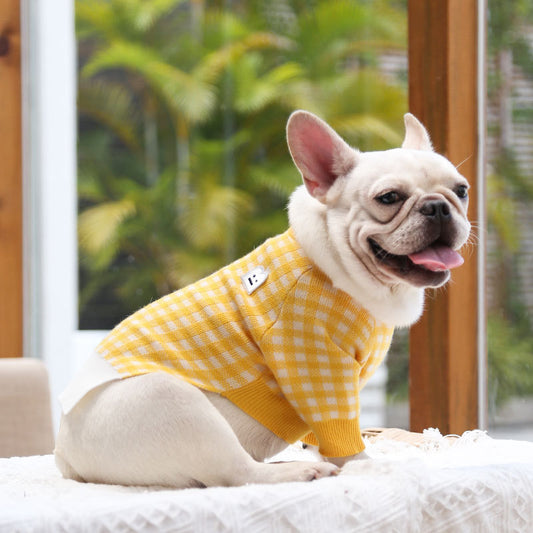 Pet Sweater