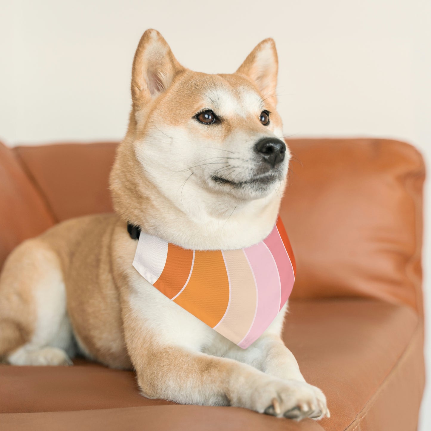 Pet Bandana Collar