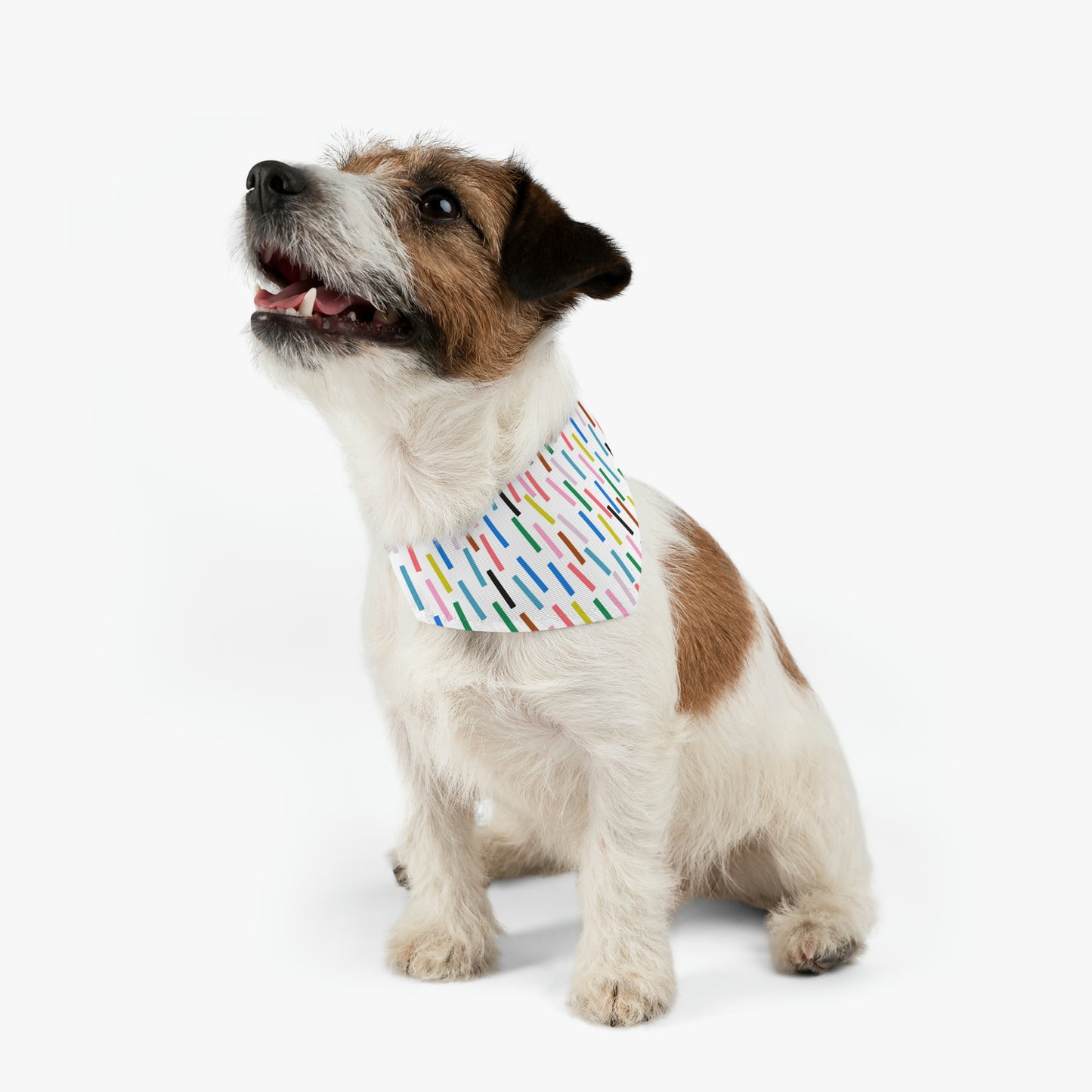 Pet Bandana Collar