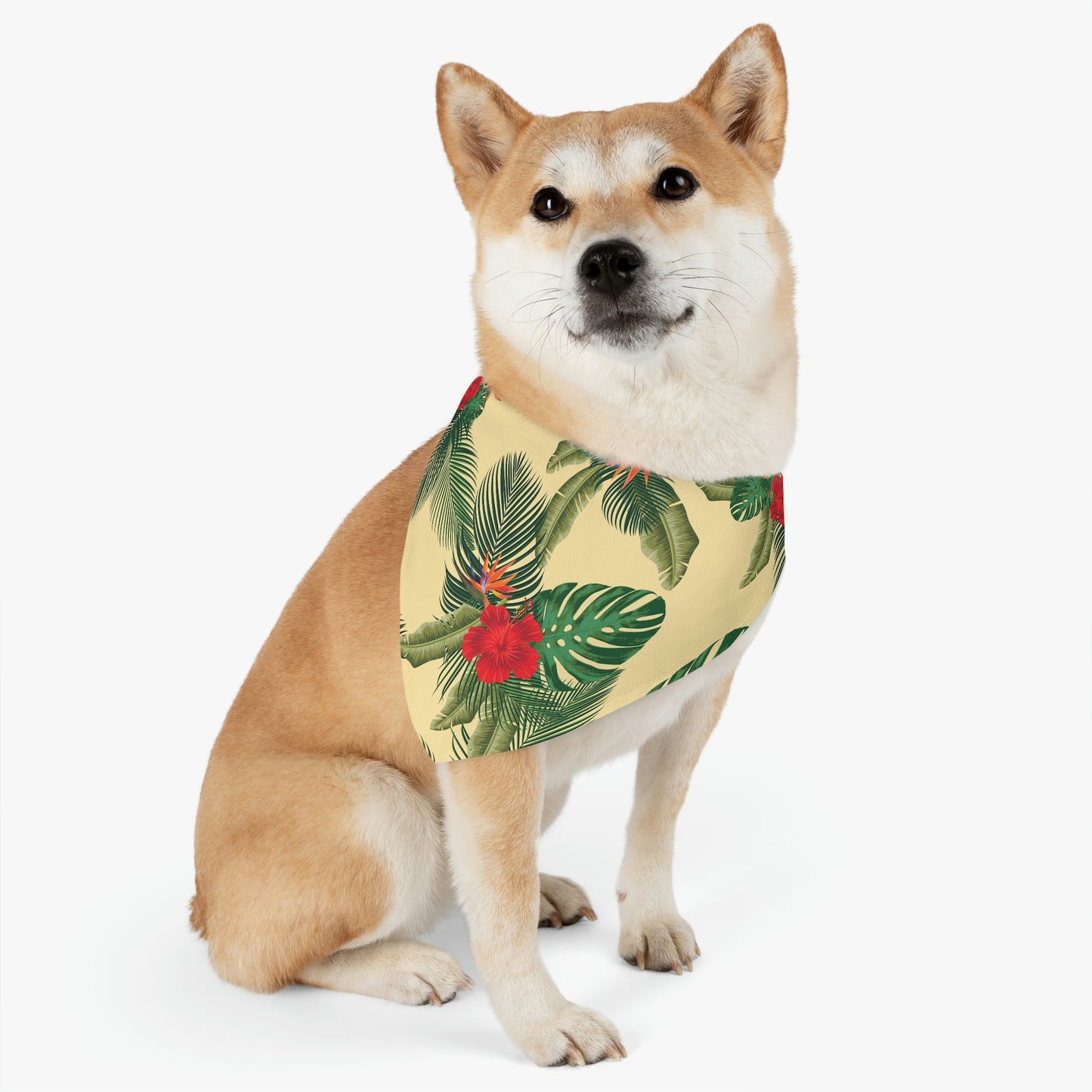 Pet Bandana Collar
