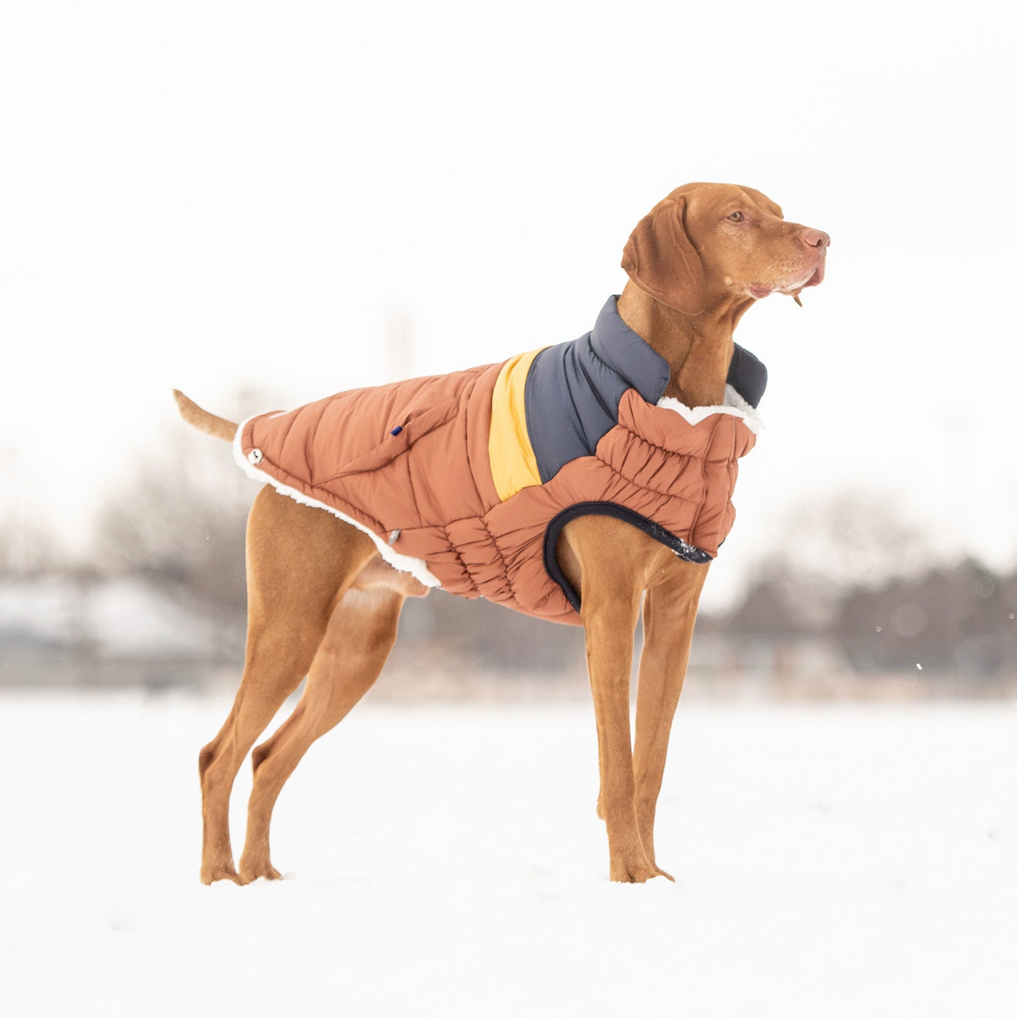 Retro Puffer (Hazel)