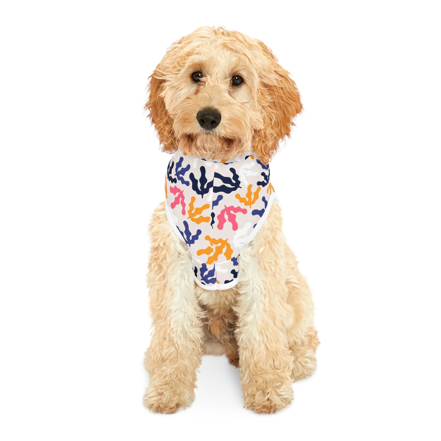 Dog Hoodie