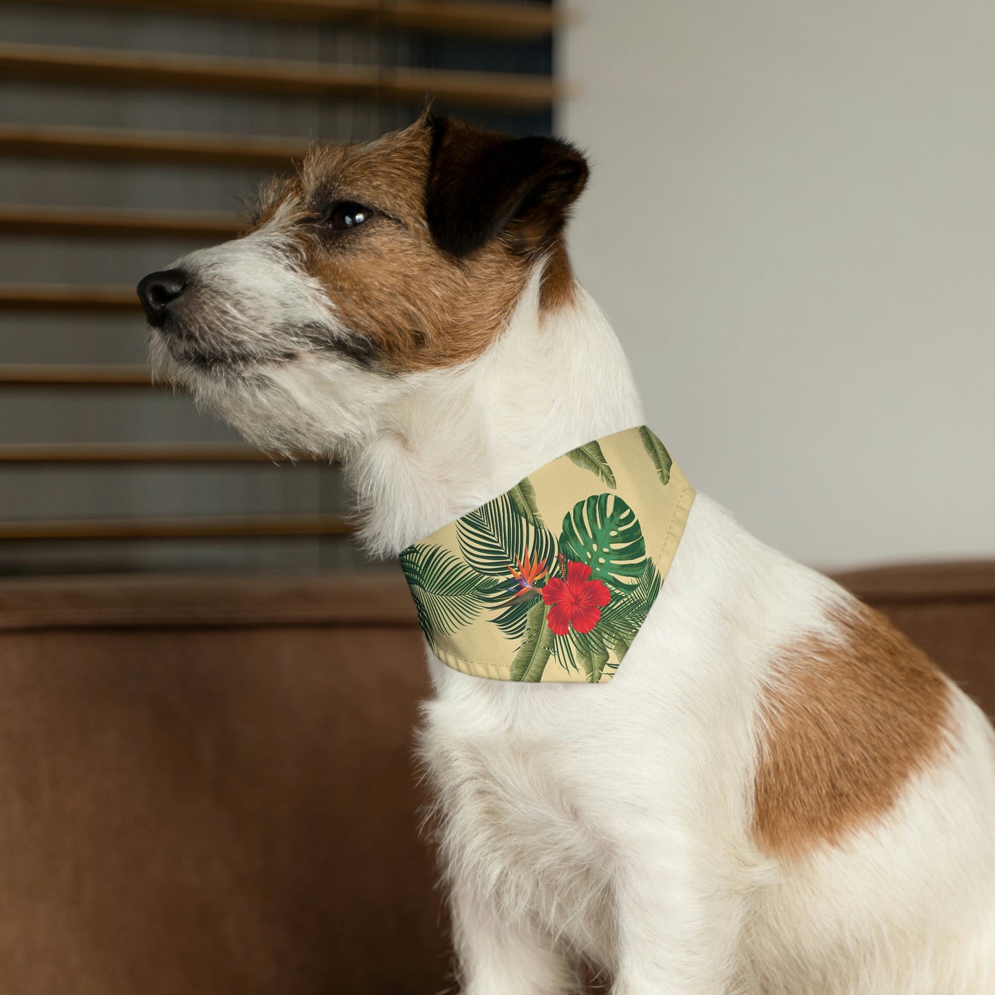 Pet Bandana Collar