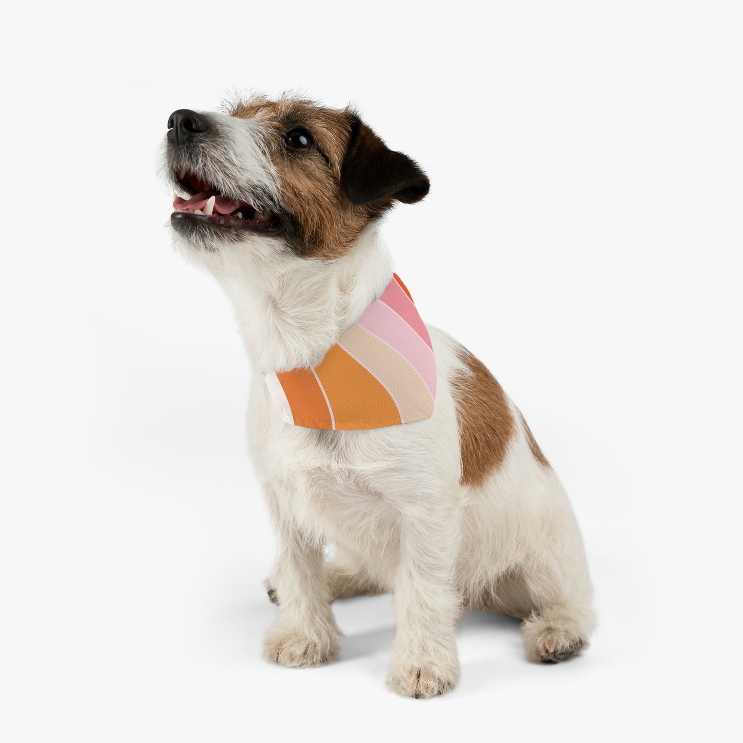 Pet Bandana Collar