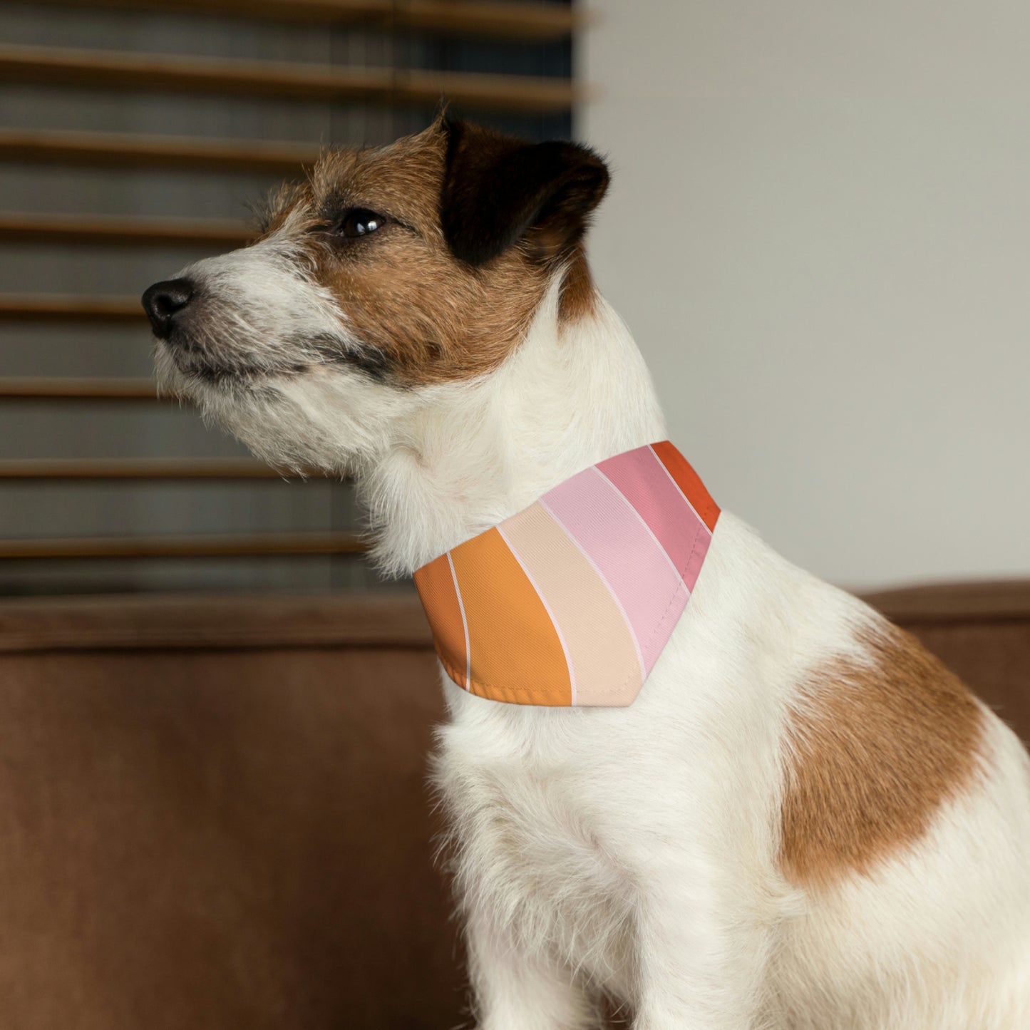Pet Bandana Collar