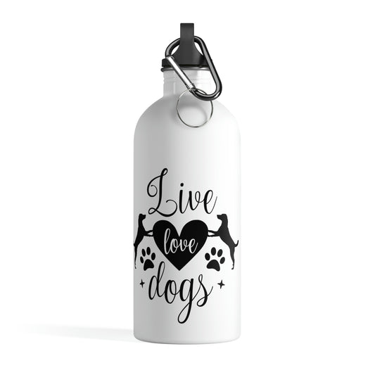 Stainless Steel Water Bottle